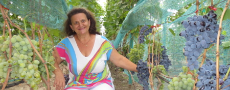 Виноград Пузенко